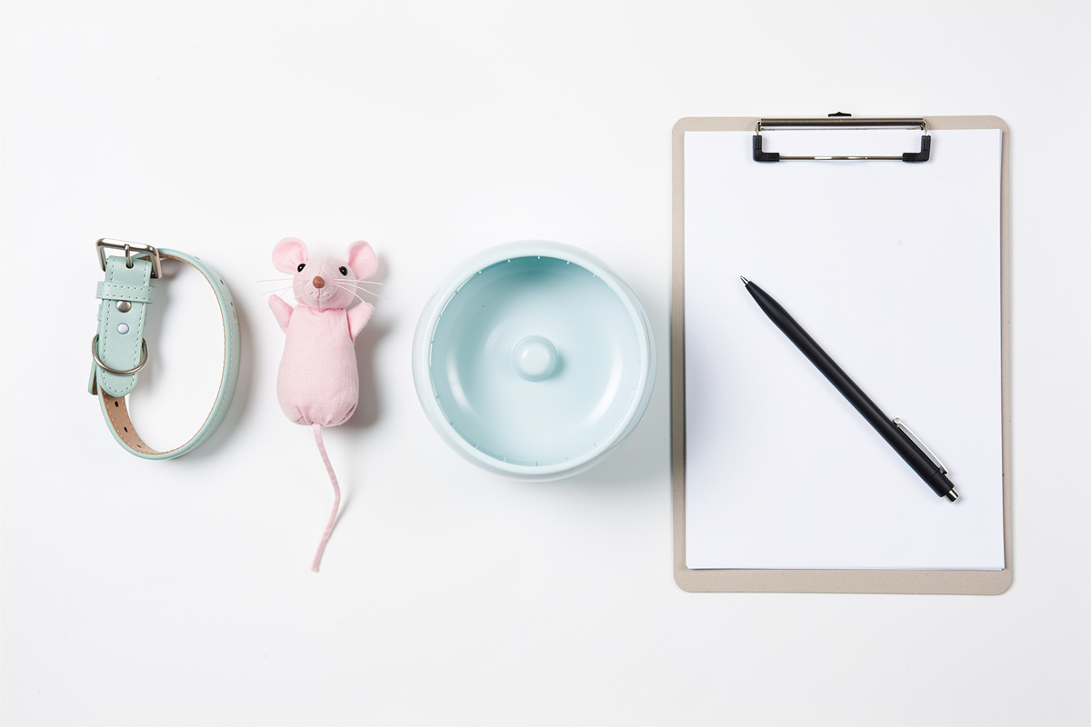 Accessoires de chien, chat et hamster côte à côte, comparatif des prix de consultation vétérinaire selon l'animal