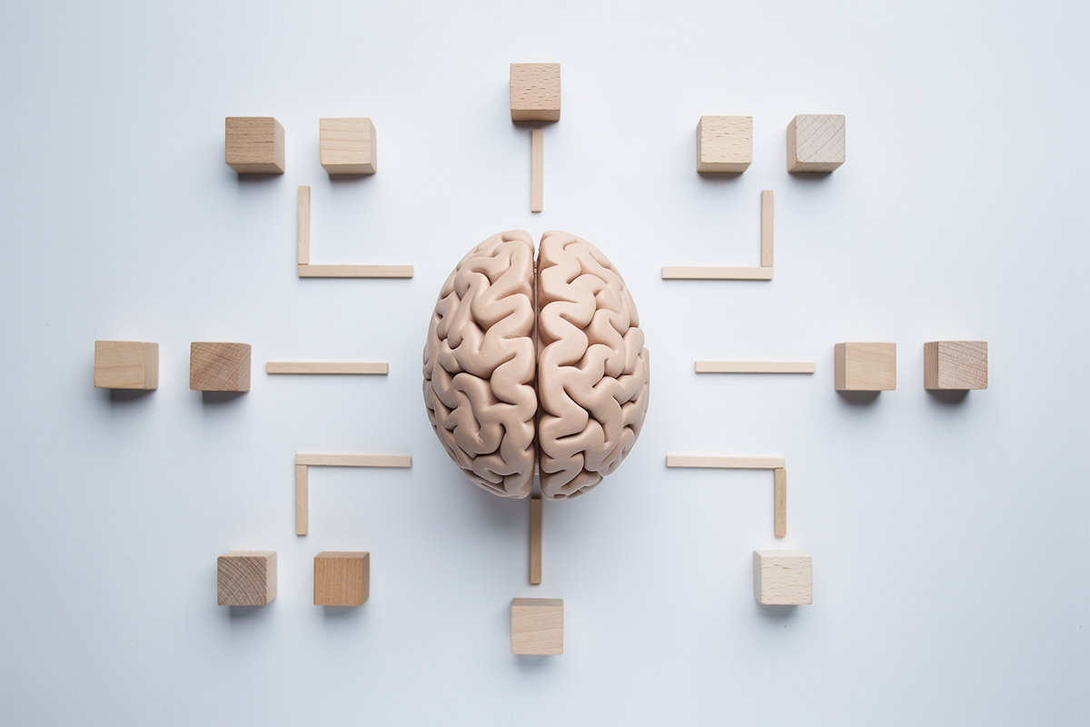 Modèle de cerveau et blocs symbolisant les biais cognitifs qui affectent l'ASV sous pression en triage vétérinaire